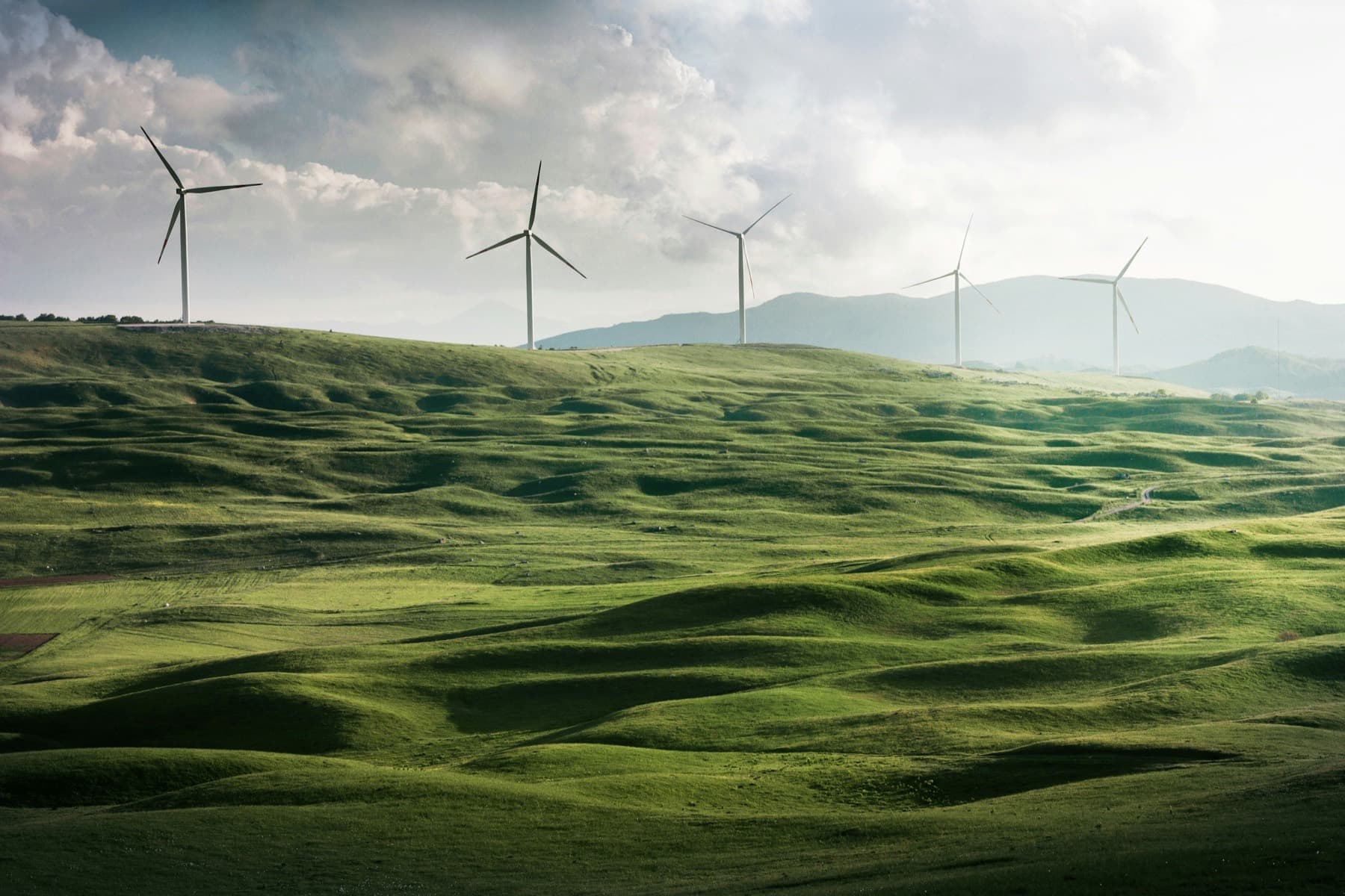 Sustainable green architecture